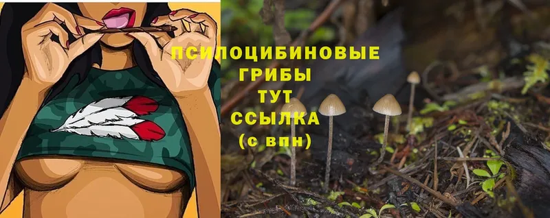 omg tor  Ленск  Галлюциногенные грибы Cubensis  купить закладку 